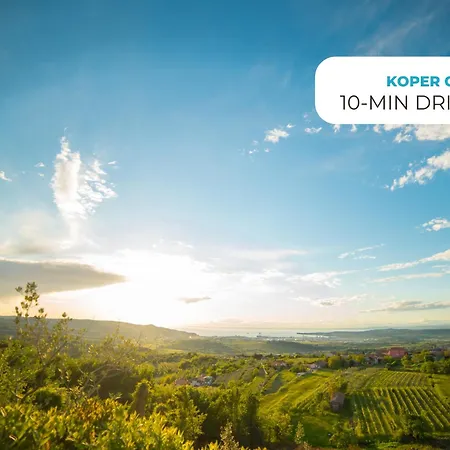 Villa Wine Paradise - Glamping Marezige