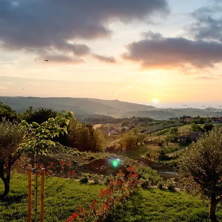 Villa Wine Paradise - Glamping Marezige