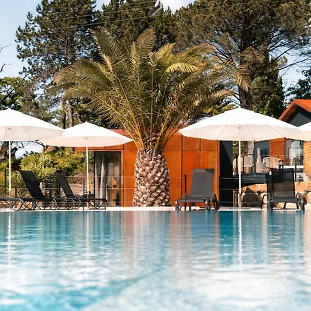 Wine Paradise - Glamping